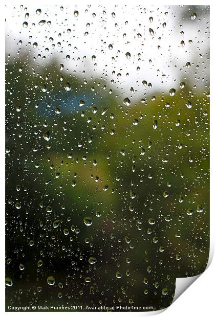 Summer Rain Drops Print by Mark Purches