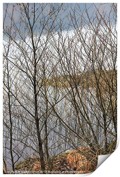 Beautiful Lake District View Through Bare Branches Print by Mark Purches
