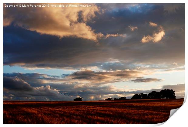 Cotswolds Barley Field & Sunset Print by Mark Purches
