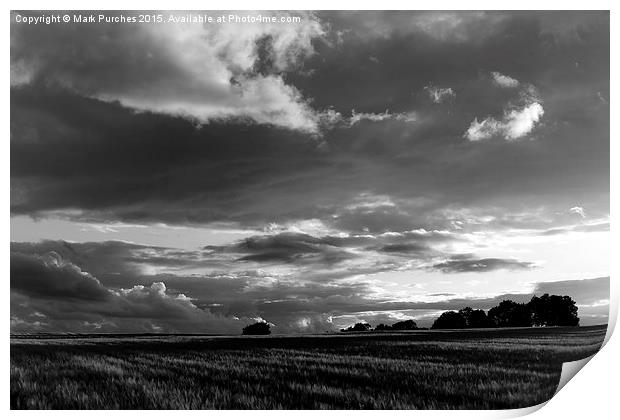 Cotswolds Barley Field & Clouds Sunset Black & Whi Print by Mark Purches