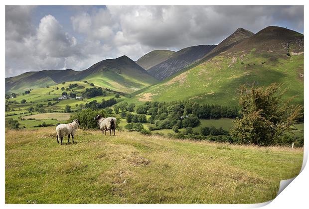 The Newlands Valley Print by Steve Glover