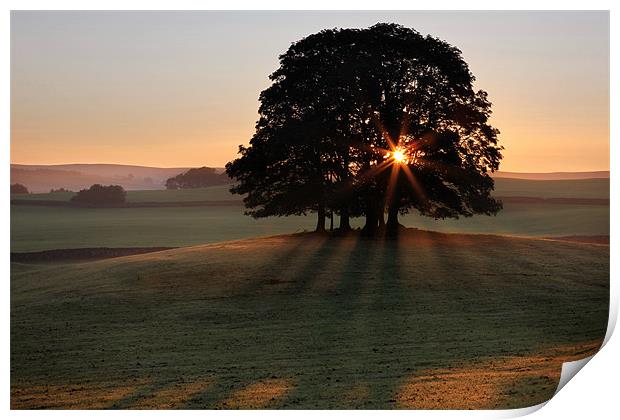 Airton Daybreak Print by Steve Glover