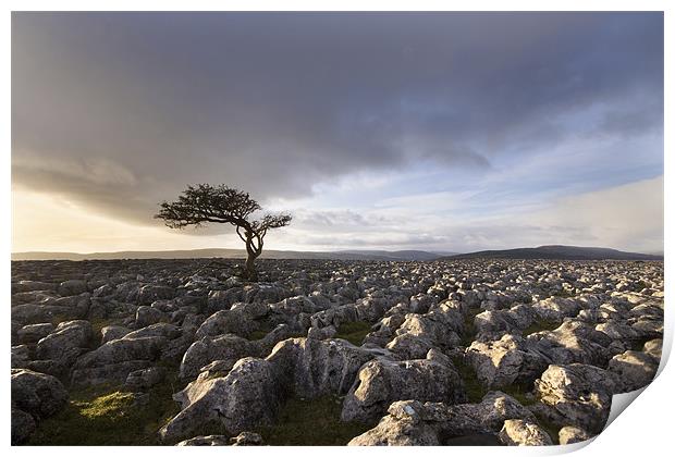 Wharfedale Isolation Print by Steve Glover