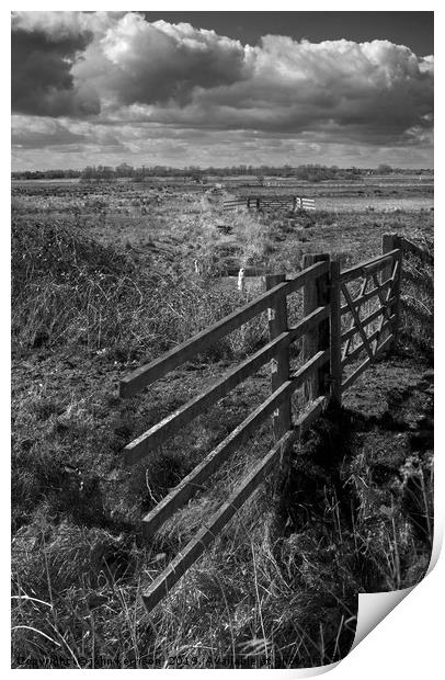 Gate on Yare Valley Marshes Print by john kerrison
