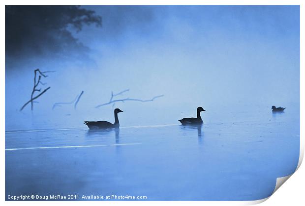 Geese in the mist Print by Doug McRae
