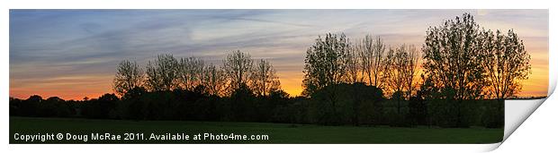 Sunset and trees Print by Doug McRae