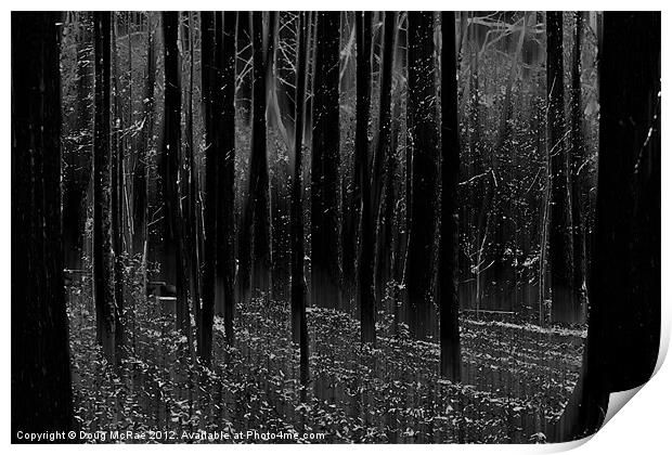 Mystery woods Print by Doug McRae