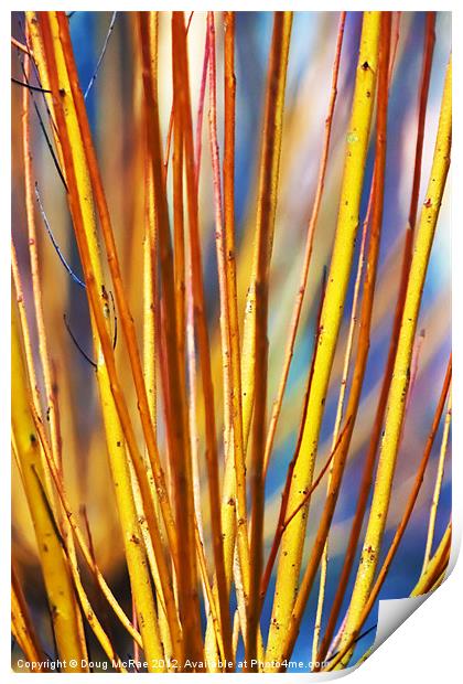 Coloured sticks Print by Doug McRae