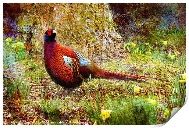 Pheasant Print by Doug McRae