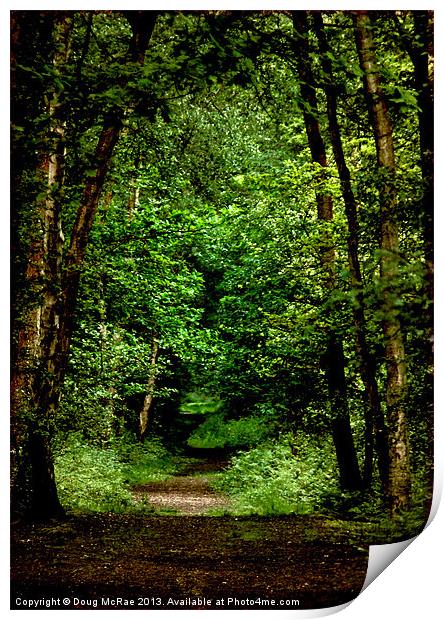 woodland path Print by Doug McRae