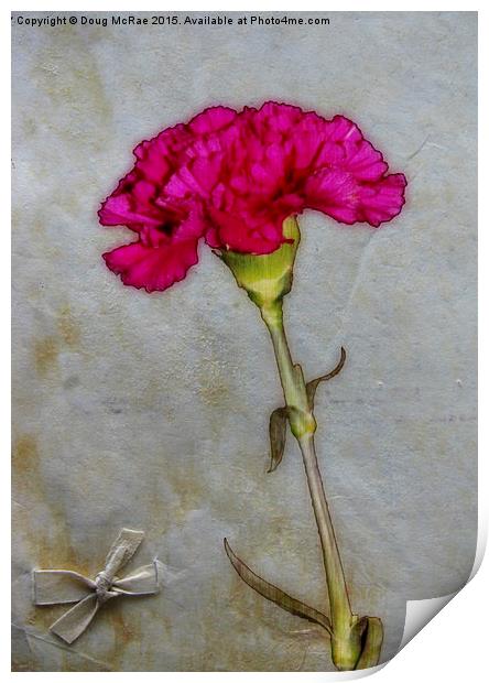  Carnation and bow Print by Doug McRae