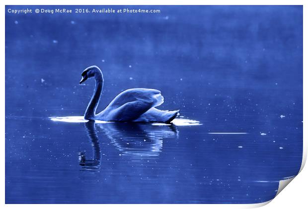 blue swan Print by Doug McRae