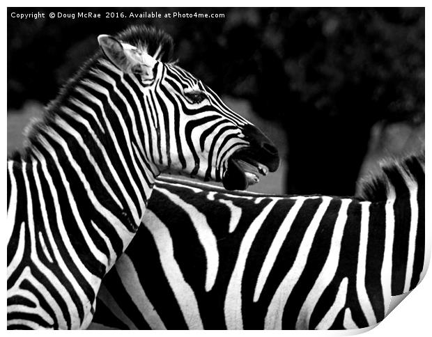 Zebra Print by Doug McRae
