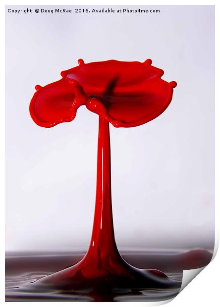 water poppy Print by Doug McRae