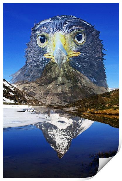 Eagle mountain Print by Doug McRae