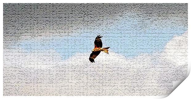 Red Kite Print by Doug McRae