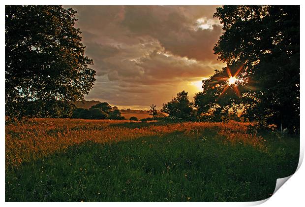 Sunset at Windsor Great Park Print by Doug McRae