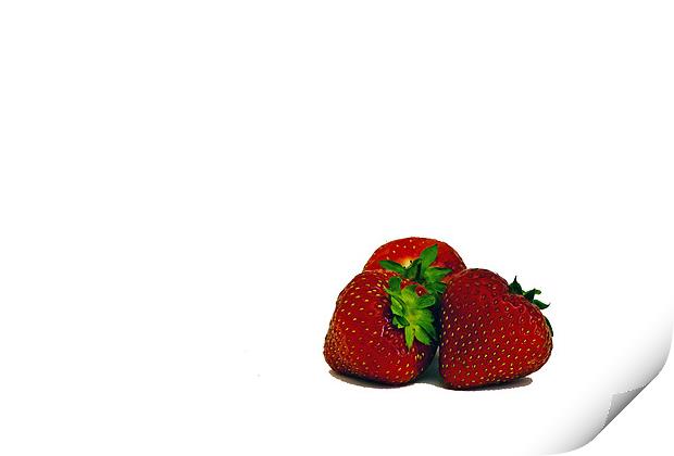 Strawberries Print by Doug McRae