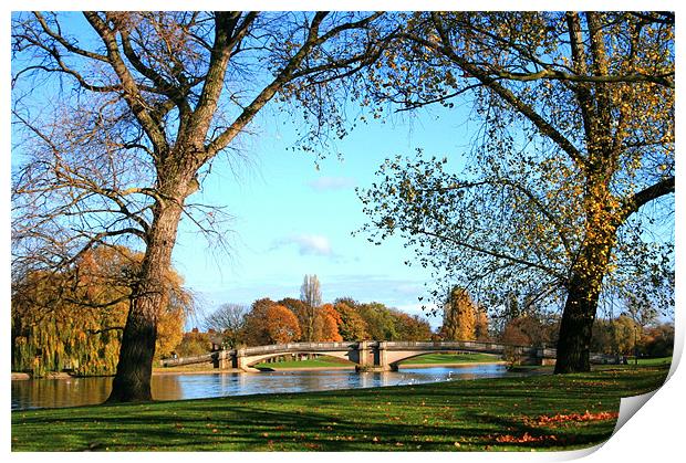 Romantic Bridge Print by Jeanne Goncalves