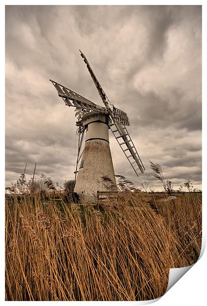 Thurne Mill, Norfolk Print by Sandi-Cockayne ADPS