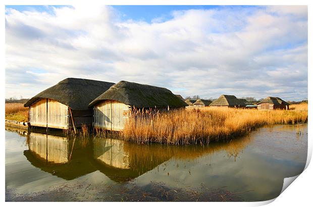 Old Thatched Boat Houses, Norfolk Print by Sandi-Cockayne ADPS