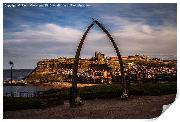  Whale Bones At Whitby Print by Sandi-Cockayne ADPS