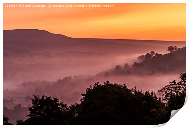  Pink Mist In Swaledale Print by Sandi-Cockayne ADPS