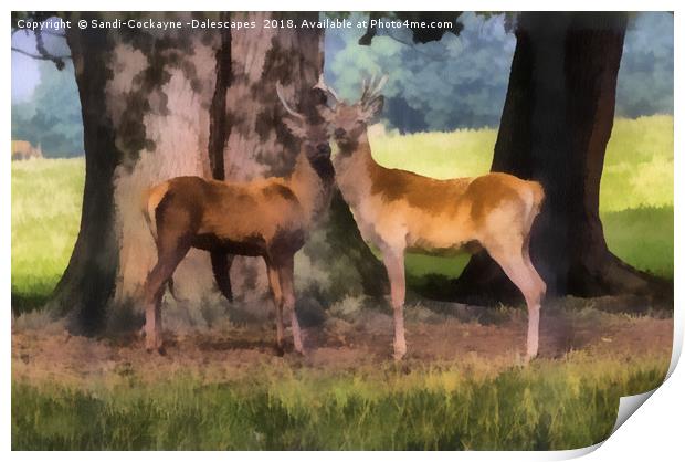 Buck Deer Painterly Print by Sandi-Cockayne ADPS