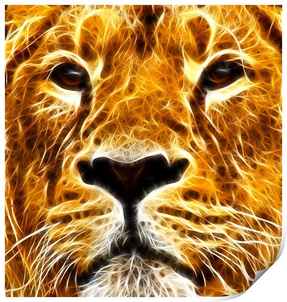 A Proud Stare ~ Fractal ~ Print by Sandi-Cockayne ADPS