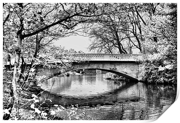 Stanley Park Bridge ~ Infra Red ~ Print by Sandi-Cockayne ADPS