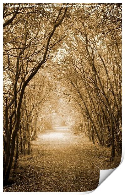  Autumn Walk Print by Samantha Higgs