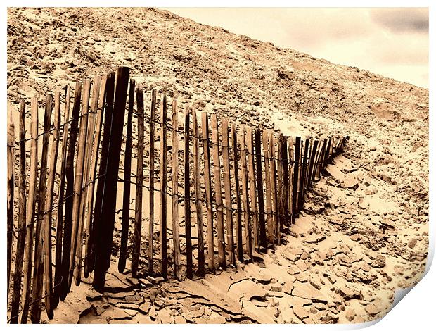 Fence - Dune of Pilat Print by Samantha Higgs