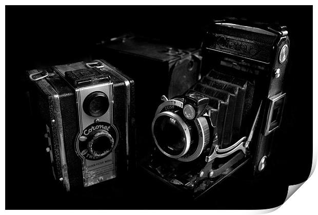 Old Cameras Print by Samantha Higgs