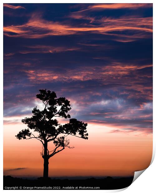 Tree Silhouette  Print by Orange FrameStudio