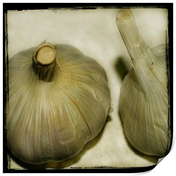 Cloves Of Garlic. Print by Rosanna Zavanaiu