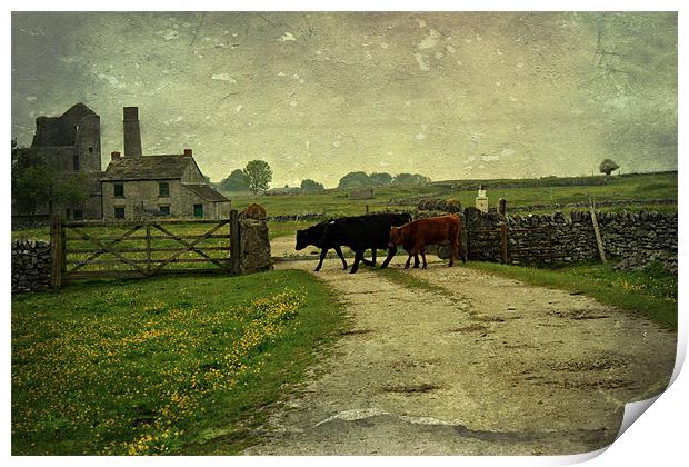 Magpie Mine, Derbyshire bakewell.2 Print by Rosanna Zavanaiu