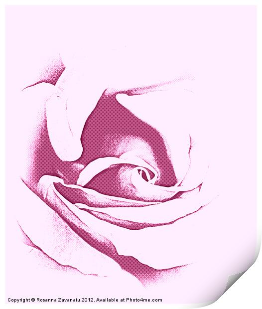 Purple Rose Sillouette. Print by Rosanna Zavanaiu