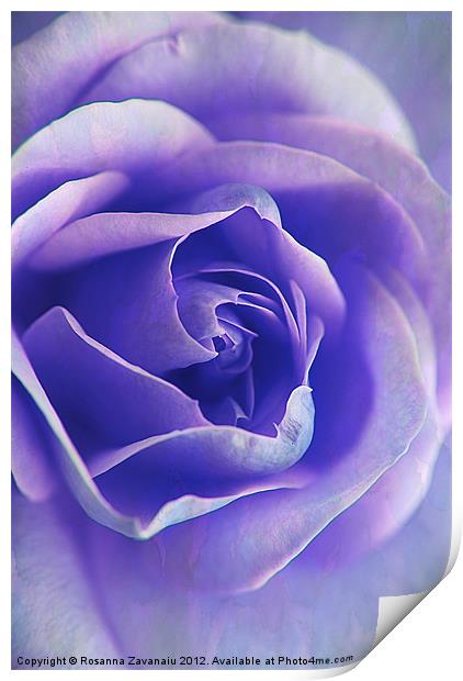 Blue Rose Textures. Print by Rosanna Zavanaiu