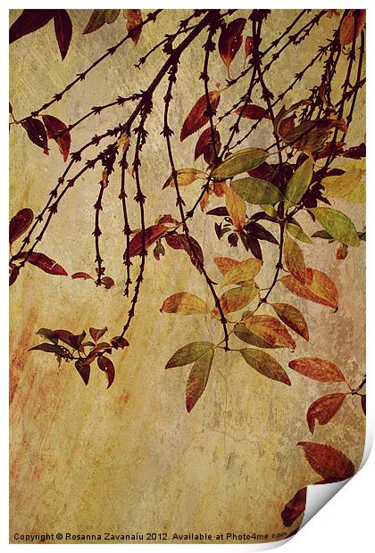 Autumn Colours. Print by Rosanna Zavanaiu
