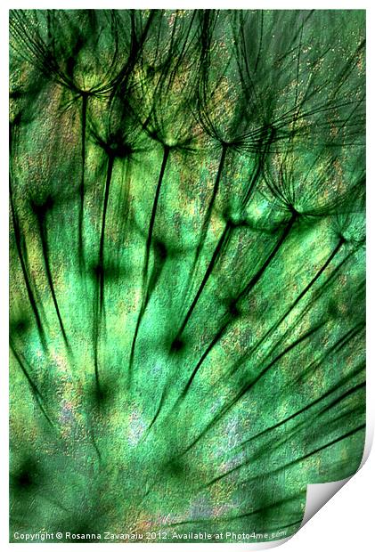 Painted Dandelion Green. Print by Rosanna Zavanaiu