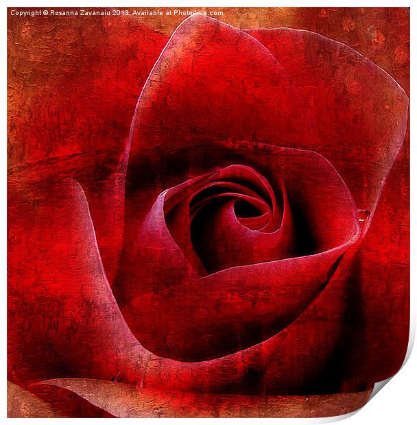 Red Rose Paintings Print by Rosanna Zavanaiu