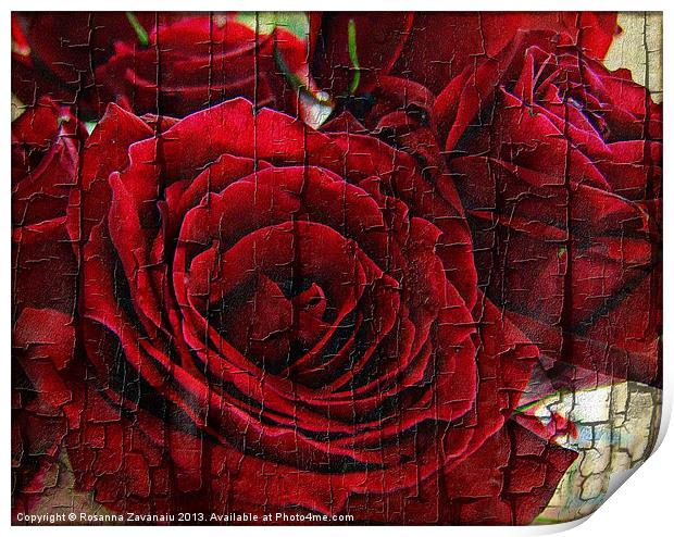 Love Roses. Print by Rosanna Zavanaiu