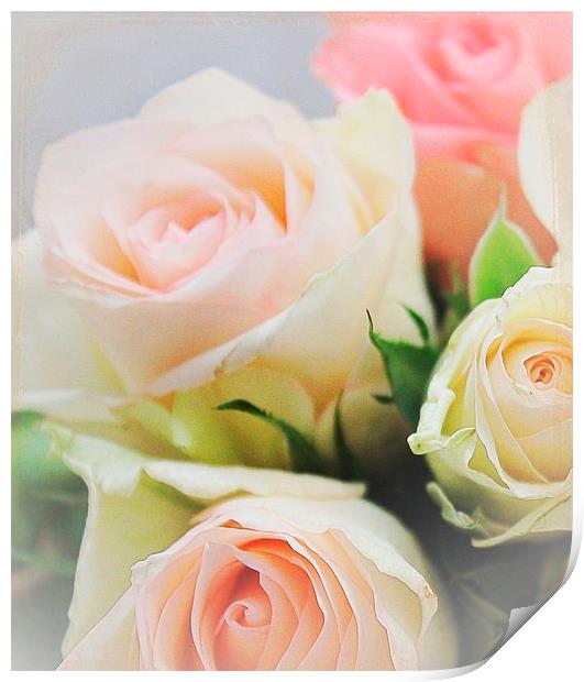  Love roses .. Print by Rosanna Zavanaiu