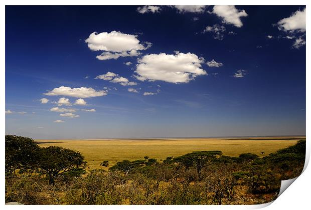 Serengeti's View Print by Massimiliano Acquisti