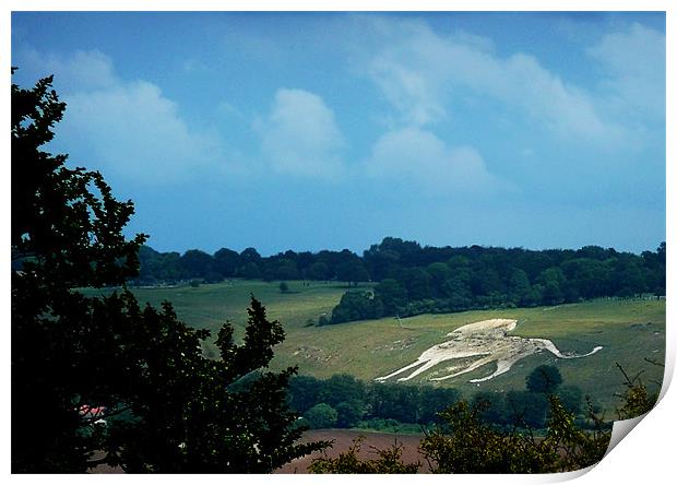 Whipsnade Zoo  Chalk Lion Print by Christine Jeffrey