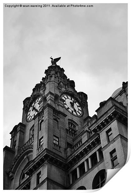 The Liver clock tower Print by Sean Wareing