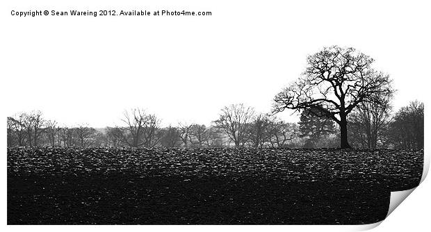 Ploughed Field Print by Sean Wareing