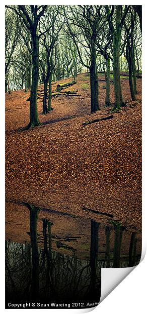 Forest Reflections Print by Sean Wareing