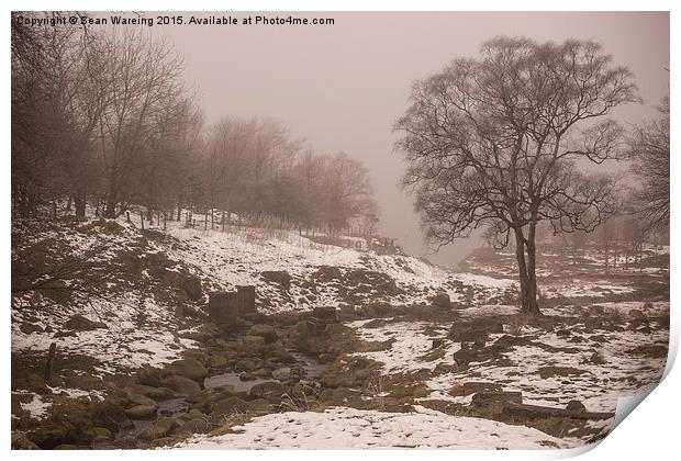  Winter at Dovestone Print by Sean Wareing