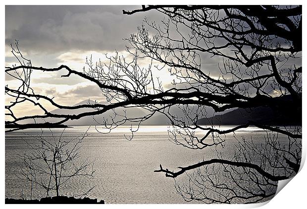 Winter Sunlight on Loch Carron Print by Carol Kelly 